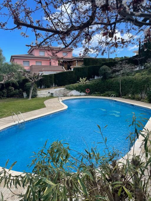 Apartamento Con Piscina En Llanca Luaran gambar